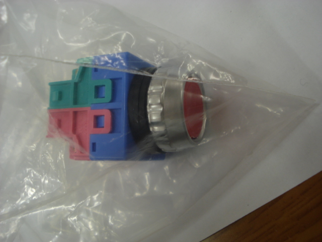 DSC09829.JPG